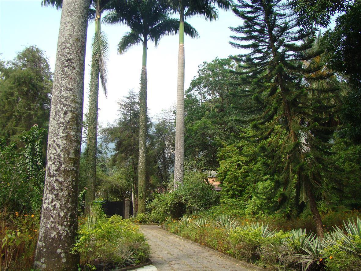 Casa De Campo Dos Sonhos Bed and Breakfast Cachoeiras de Macacu Esterno foto